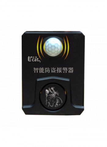 Remote Control Car Anti-theft System With Double Siren