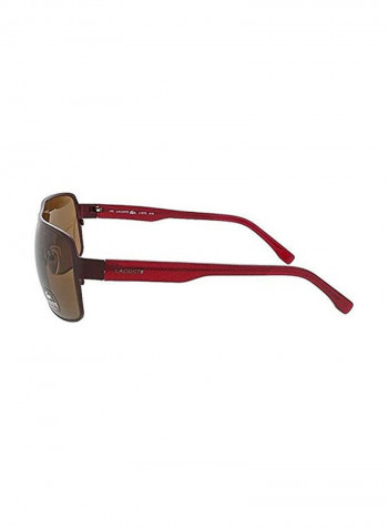 Rimmed Aviator Sunglasses