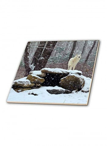 Arctic Wolf Printed Coaster Multicolour