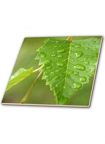 Leaves In The Rain Tile Multicolour 8x8x0.25inch