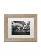 Wellington Soybeans Birch Frame Wall Art Black/Silver 11 x 14inch