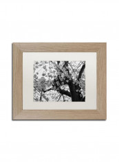 Blossoms Bw Birch Frame Wall Art Black/White 11 x 14inch