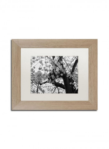 Blossoms Bw Birch Frame Wall Art Black/White 11 x 14inch
