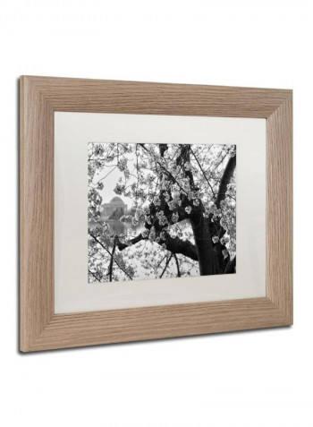 Blossoms Bw Birch Frame Wall Art Black/White 11 x 14inch