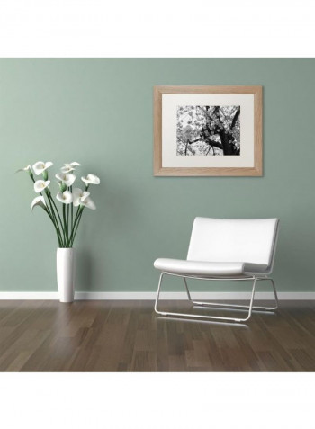 Blossoms Bw Birch Frame Wall Art Black/White 11 x 14inch