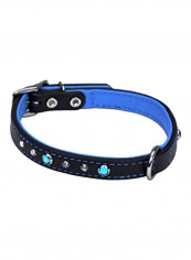 Circle T Leather Round Dog Collar Blue/Black/Silver
