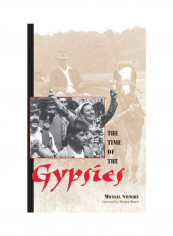 The Time Of The Gypsies Paperback English by Michael Stewart
