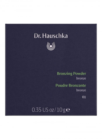 Bronzing Powder 01 Bronze