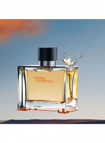 Terre D'Hermes EDP 75ml