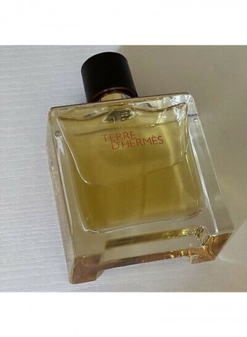 Terre D'Hermes EDP 75ml