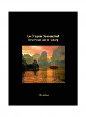 Le Dragon Descendant Paperback تقييمات Le Dragon Descendant Paperback