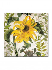 Carina II Canvas Wall Art Yellow/Green 14 x 14inch