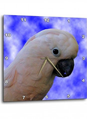 Decorative Printed Wall Clock Multicolour 10x10inch
