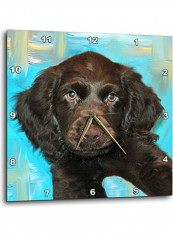 LLC Boykin Spaniel Puppy Wall Clock Multicolour 10x10inch