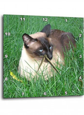 Decorative Printed Wall Clock Multicolour 10x10inch