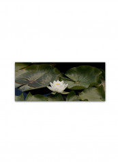 One Leaf Wall Canvas Wall Art White/Green 18 x 18inch