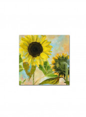 Sofia Ii Wooden Framed Wall Art Multicolour 11 x 11inch