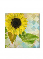 Soleil Ii Wooden Framed Wall Art Multicolour 11 x 11inch