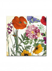Printemps Framed Wall Art multicolour 11 x 14inch