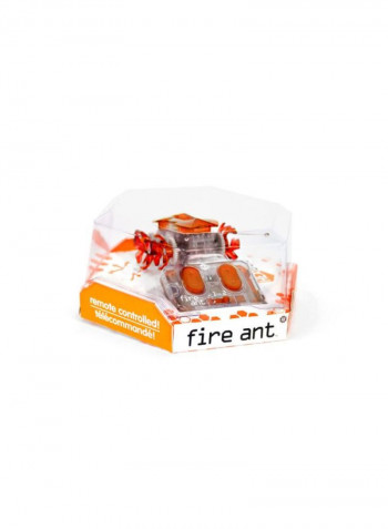 Fire Ant Robot Model